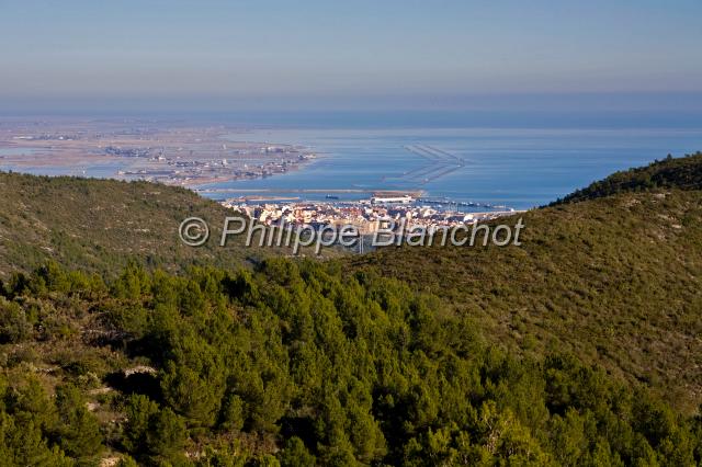 espagne catalogne 09.jpg - Vue générale sur le delta de l'EbreCatalogne, Espagne